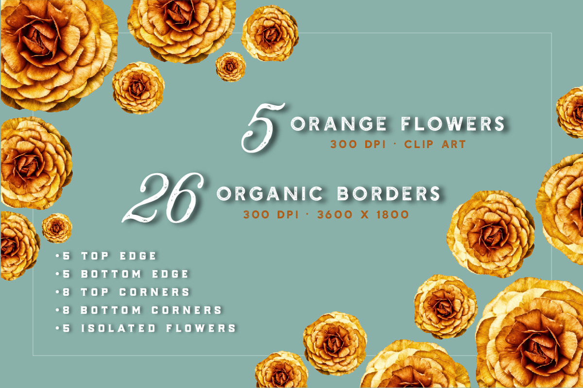 Ranunculus Borders & Autumn ClipArt, an Object Graphic by Turning Moss (Photo 3 of 6)