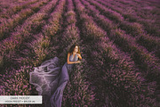 Dark Moody Lightroom Presets, a Plug-in Add-On by FixThePhoto (Thumbnail 31 of 33)