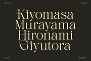 Gladier - A Modern Serif Font, a Serif Font by Comactype Foundry (Thumbnail 11 of 22)