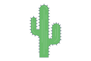 Desert cactus