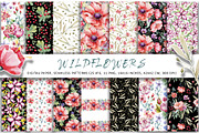 Watercolor wildflowers set, an Illustration by Artmanata (Thumbnail 5 of 26)