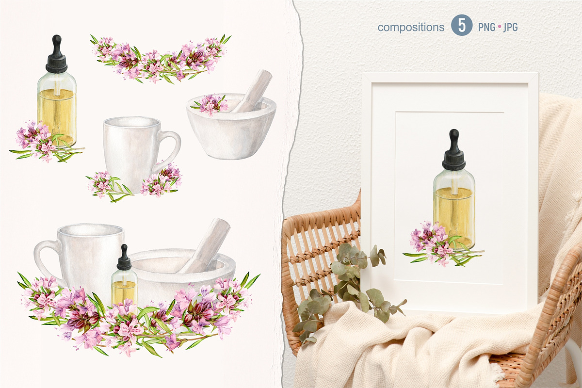 THYME tea. Watercolor set, a Food Illustration by Tata Pilip (Photo 2 of 6)