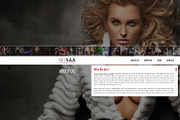 Nosaa Fullpage WordPress Theme, a WordPress Template by ProfMe Themes (Thumbnail 3 of 4)