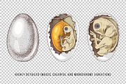 Hand drawn chicken life cycle, an Animal Illustration by handsketched (Thumbnail 7 of 7)