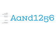 Vicky, a Serif Font by Letritas (Thumbnail 3 of 11)