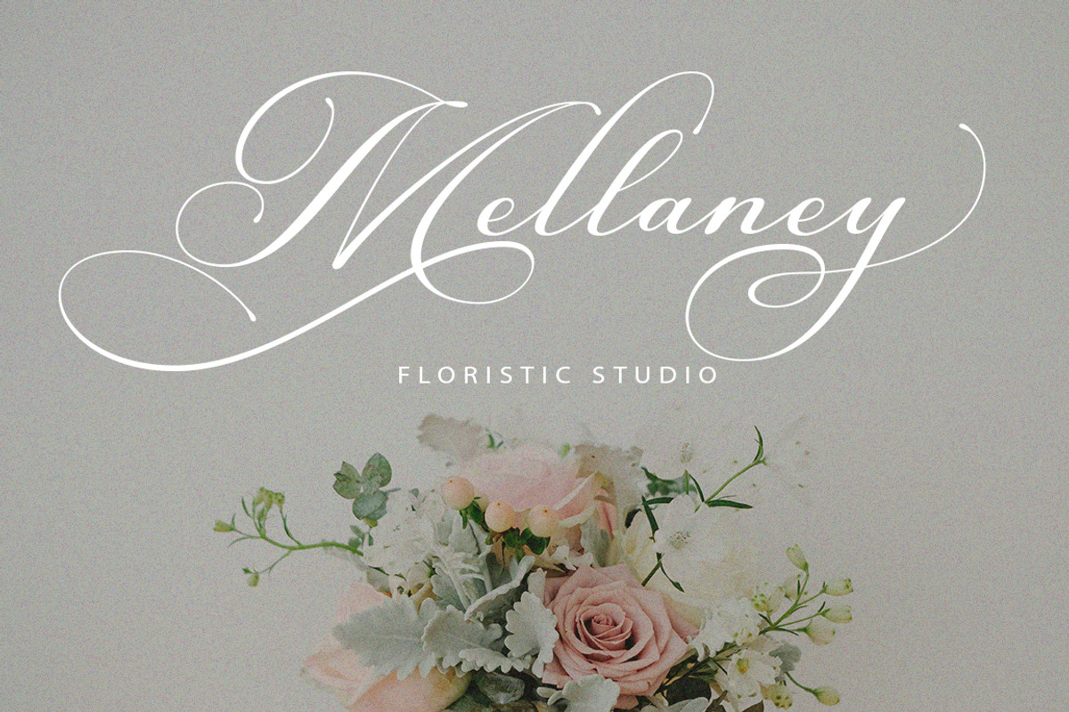 Canberra, a Script Font by Romiecreative (Photo 4 of 11)
