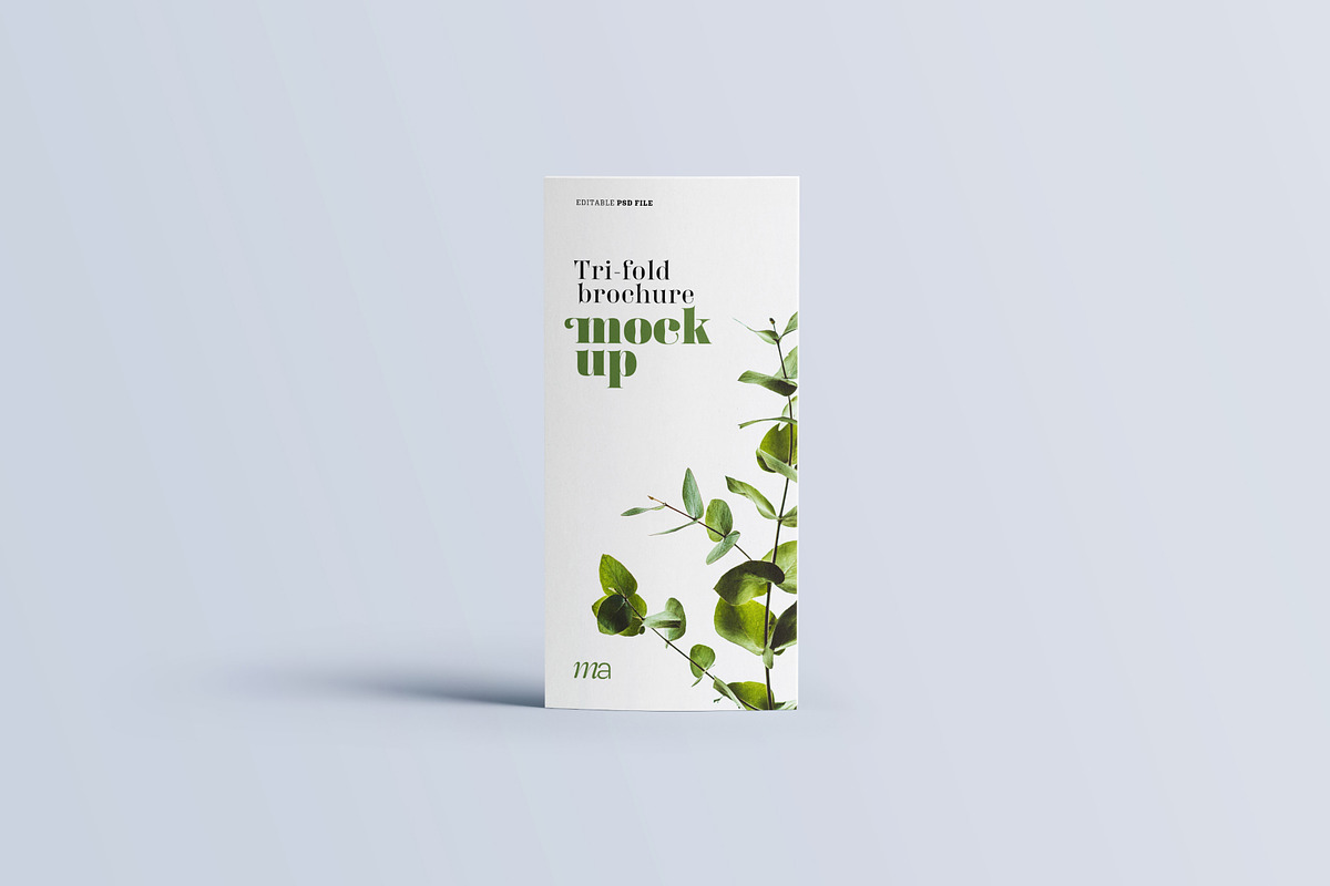 Trifold Brochure Mockup, a Print Template by mockupatelier (Photo 10 of 15)