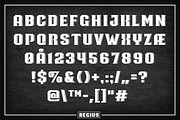 Regius Typeface, a Serif Font by Jan-Christian Bruun (Thumbnail 7 of 12)