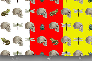 Skull Collection / Pattern Design