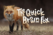 Waliroo Font, a Font by Denise Chandler (Thumbnail 6 of 7)