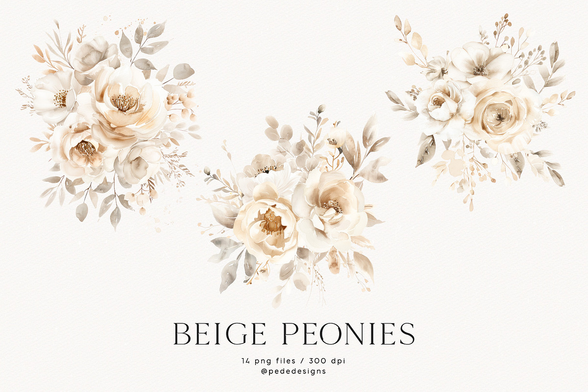Beige Peonies, a Decorative Illustration by PeDe Designs (Photo 4 of 9)
