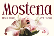 Mostena - Modern Elegant Serif, a Serif Font by roomspace creative lab (Thumbnail 1 of 12)