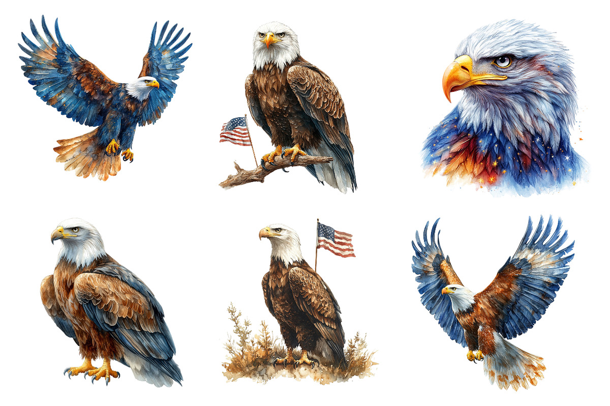 Watercolor Eagles Clipart, an Illustration by SinaCreation (Photo 3 of 5)