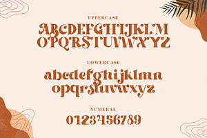 Beachfly - Classy Serif