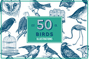 Birds Vintage Vector Illustrations, an Illustration by hypegraphic (Thumbnail 1 of 4)