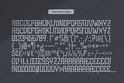 Pluck Font, a Font by Grontype (Thumbnail 10 of 12)