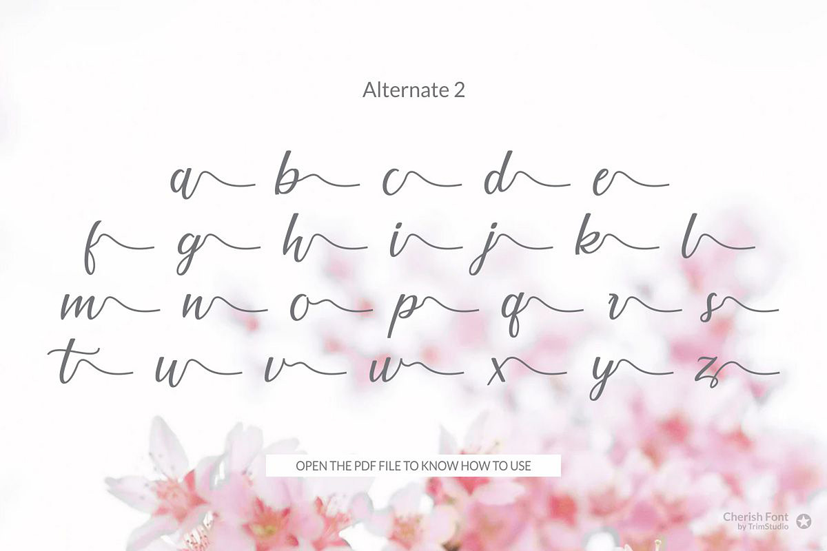 Cherish Modern Script Font Set, a Script Font by TrimStudio (Photo 9 of 11)