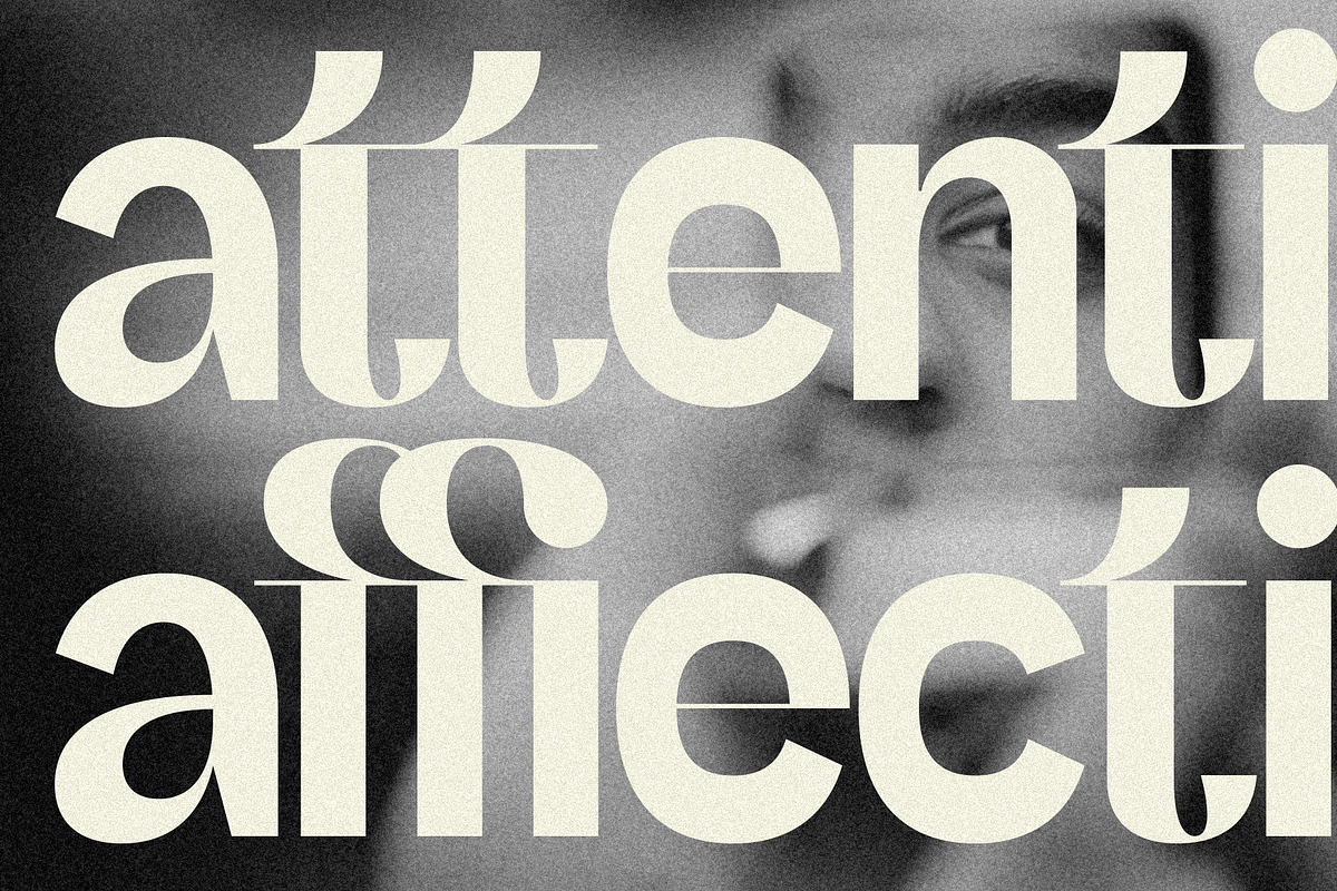 SLTF Refugio - Modern Grotesk Font, a Sans Serif Font by SilverStag Type Foundry (Photo 14 of 30)