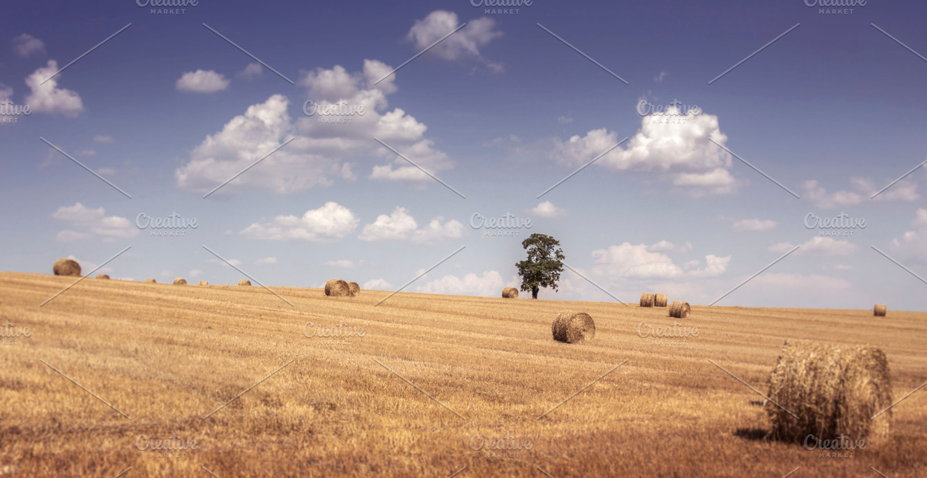 French Hillside With Hay Bales