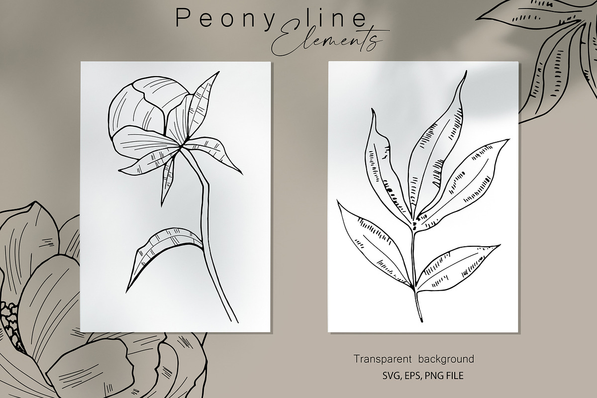 Peony Line Illustration - Flower Art, an Illustration by Ooh Lily (Photo 9 of 12)