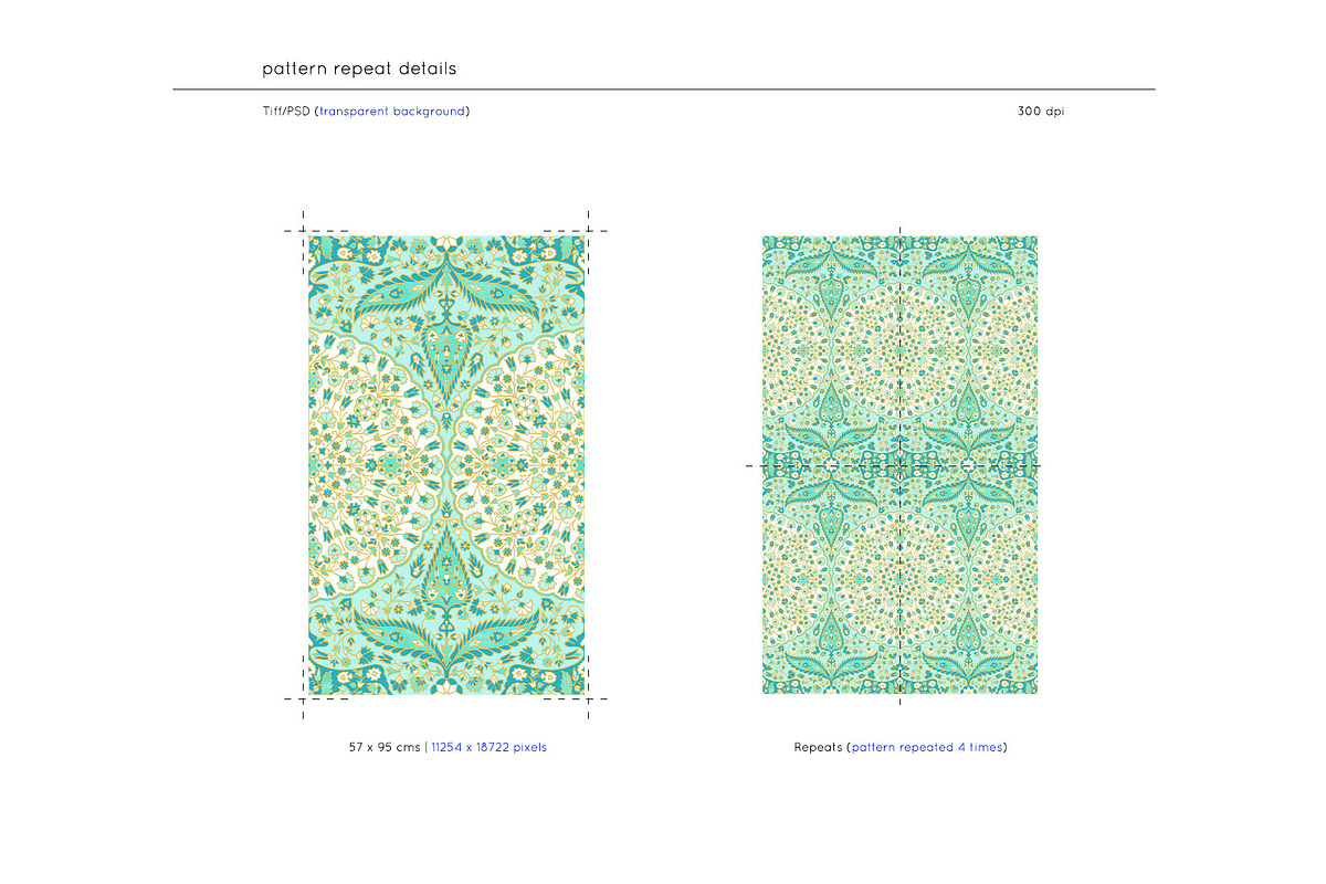 Alwar Print Patterns, a Pattern Graphic by TSTUDIO (Photo 5 of 12)