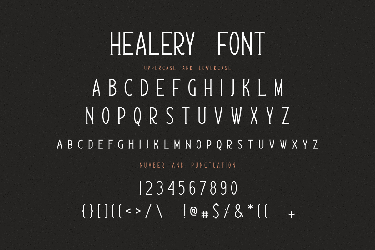 Healery Serif Modern Font, a Serif Font by Typegoals Studio (Photo 6 of 7)