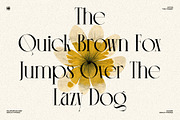 Monico Display Font, a Serif Font by Eotype Studio (Thumbnail 4 of 11)