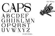 Linak, a Sans Serif Font by Dipto design (Thumbnail 5 of 7)