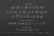 Amsterlusia - Signature Fonts, a Handwritten Font by Bluestype Studio (Thumbnail 9 of 10)