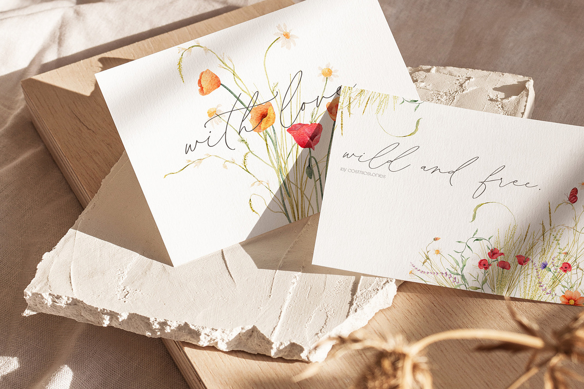 Watercolor wildflower clipart bundle, an Illustration by CarmineType (Photo 2 of 13)