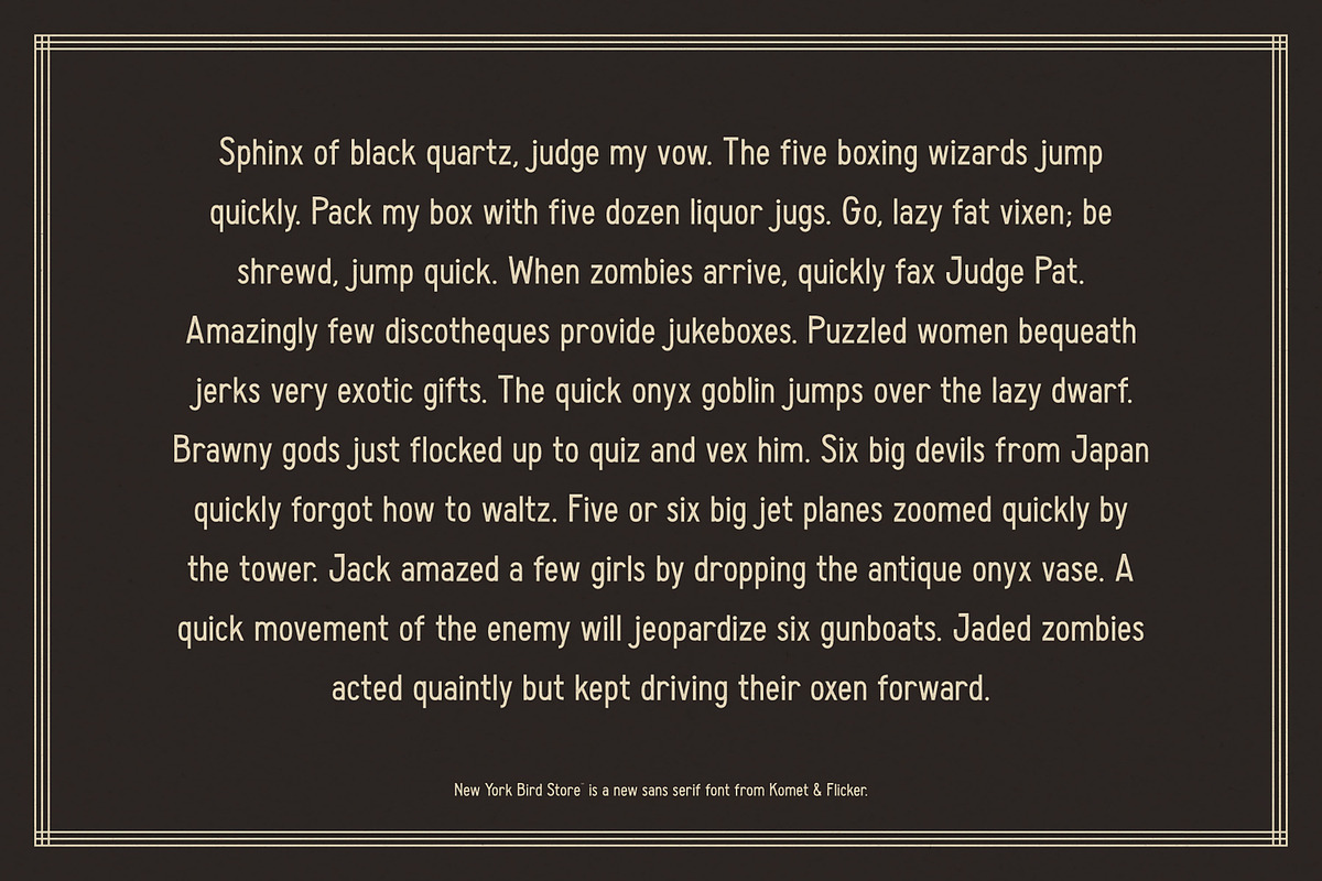 New York Bird Store, a Sans Serif Font by Komet & Flicker (Photo 11 of 13)