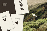 Geometric Animals | Cut-out Vectors, an Object Graphic by line & plane (Thumbnail 3 of 8)