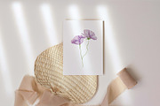 Watercolor Wildflowers Botanical Set, a Decorative Illustration by BarvArt (Thumbnail 4 of 22)