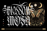 Silver Shard Typeface, a Blackletter Font by alit design (Thumbnail 16 of 20)