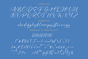 Motion Amusement Modern Signature, a Script Font by Letterena Studios Script (Thumbnail 13 of 15)