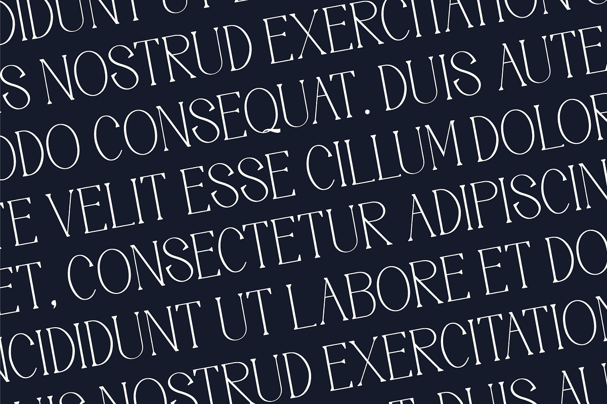 Moonlife - Serif Typeface Font, a Serif Font by Rishsketch (Photo 12 of 15)