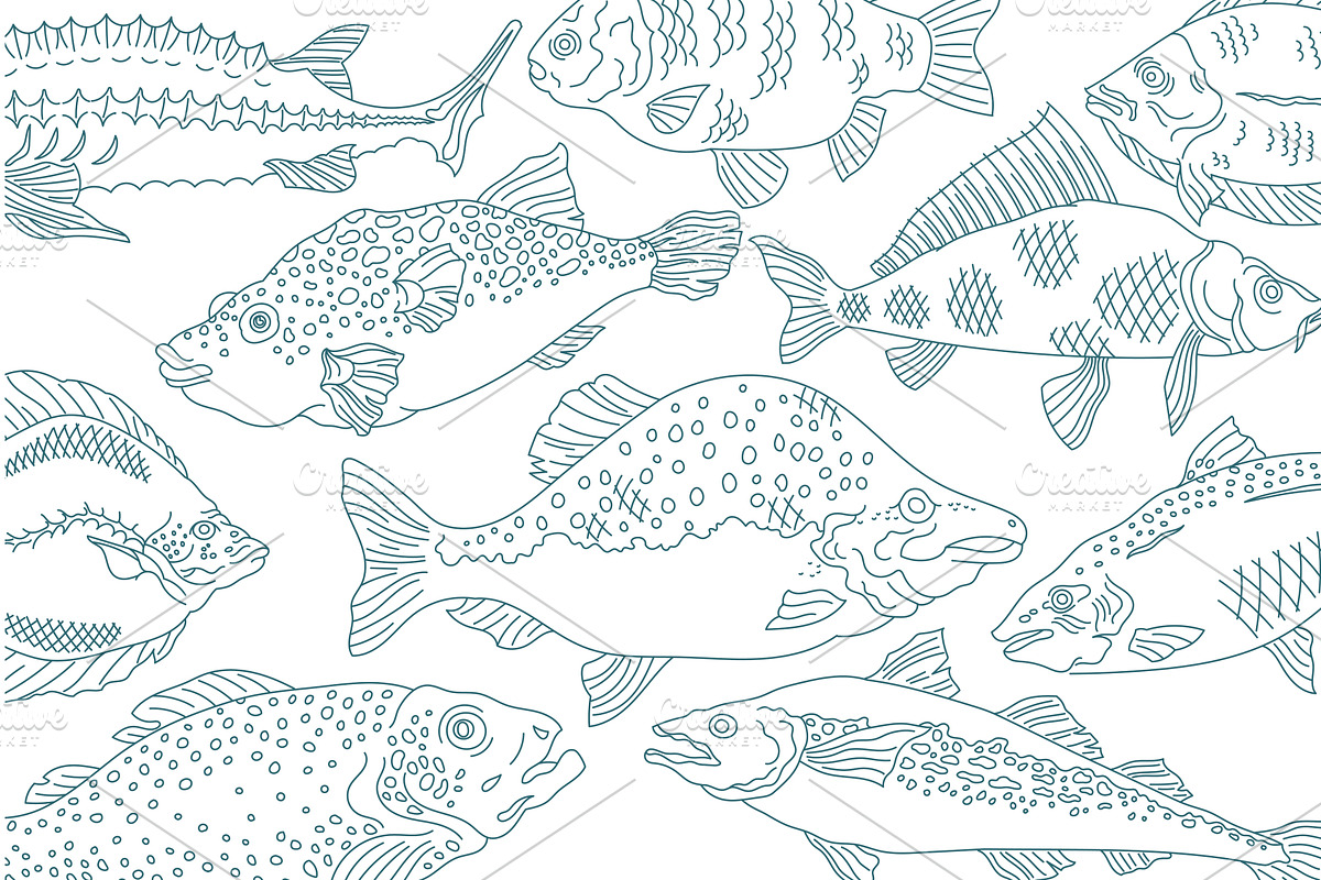 Various fish species illustrated in, an Animal Illustration by Ilia Design