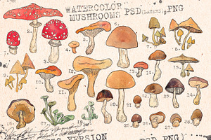 WATERCOLOR MUSHROOMS SET. Vol1.