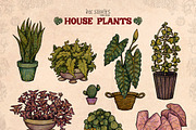 House Plants, an Object Illustration by Ink Stories (Thumbnail 2 of 23)