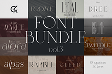 SALE! Font Bundle Vol.3 - 30 fonts