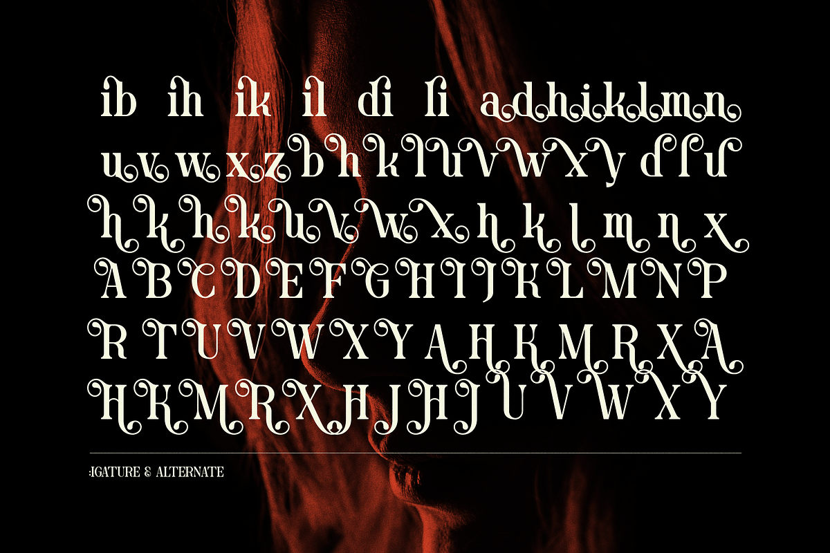 Blind Hojil | Display Serif Font, a Serif Font by Denustudios (Photo 13 of 14)