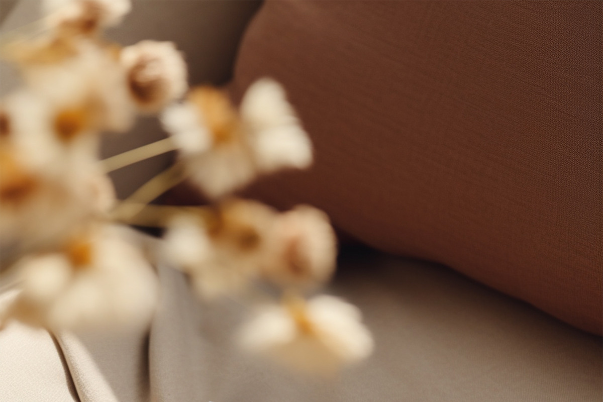 TERRE D'OMBRE Autumn Wildflowers, a Decorative Illustration by Muse Artist (Photo 7 of 13)
