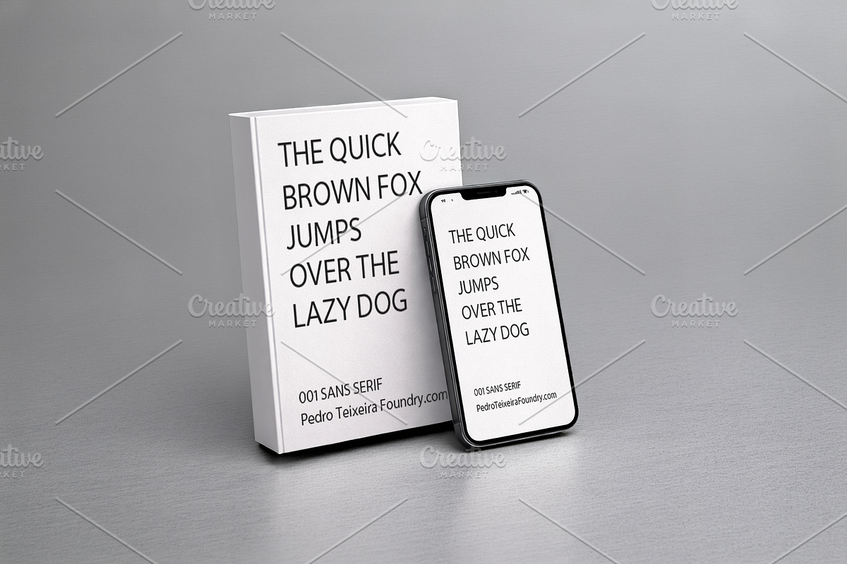 001 SANS SERIF PedroTeixeiraFoundry, a Sans Serif Font by vectalex (Photo 5 of 5)