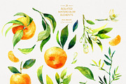 Tangerine Watercolor Collection, a Wallpaper Graphic by Natasha Koltsova (Thumbnail 7 of 7)