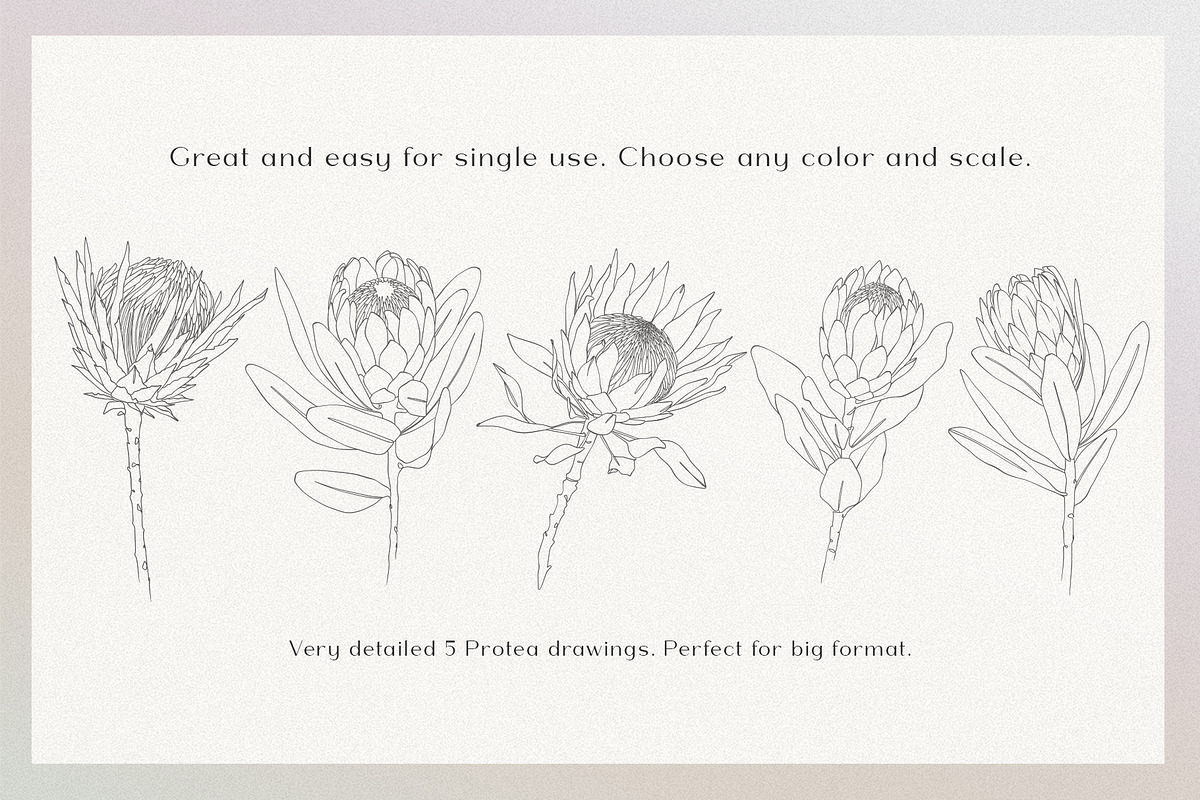 Blossom - floral line art, an Illustration by Anna.Klets (Photo 6 of 14)