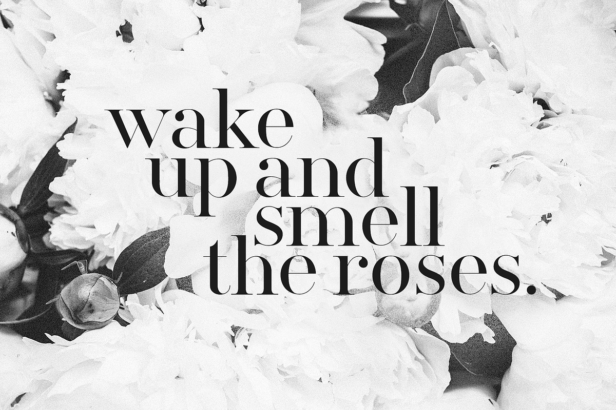 Silver South Font Duo (New Update), a Script Font by Sam Parrett (Photo 11 of 14)