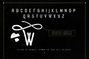 Alehouse Combo Font, a Sans Serif Font by Vintage Type Company (Thumbnail 3 of 7)