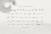 The Candelor | Luxury Chic Font, a Script Font by Denustudios (Thumbnail 12 of 12)