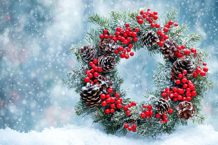 Festive holiday wreath adorned with, a Photo by Iftikhar Alam