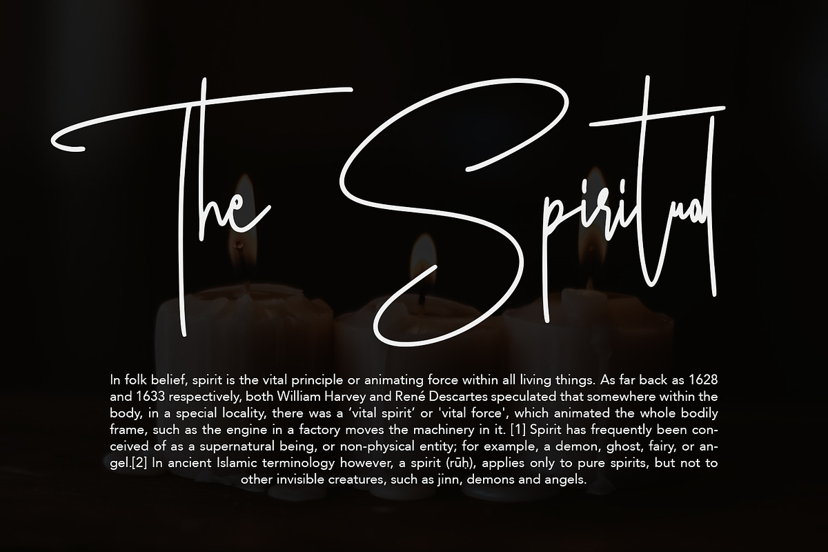 Ameriondela Luxury Classy Font, a Script Font by Maulana Creative (Photo 5 of 11)